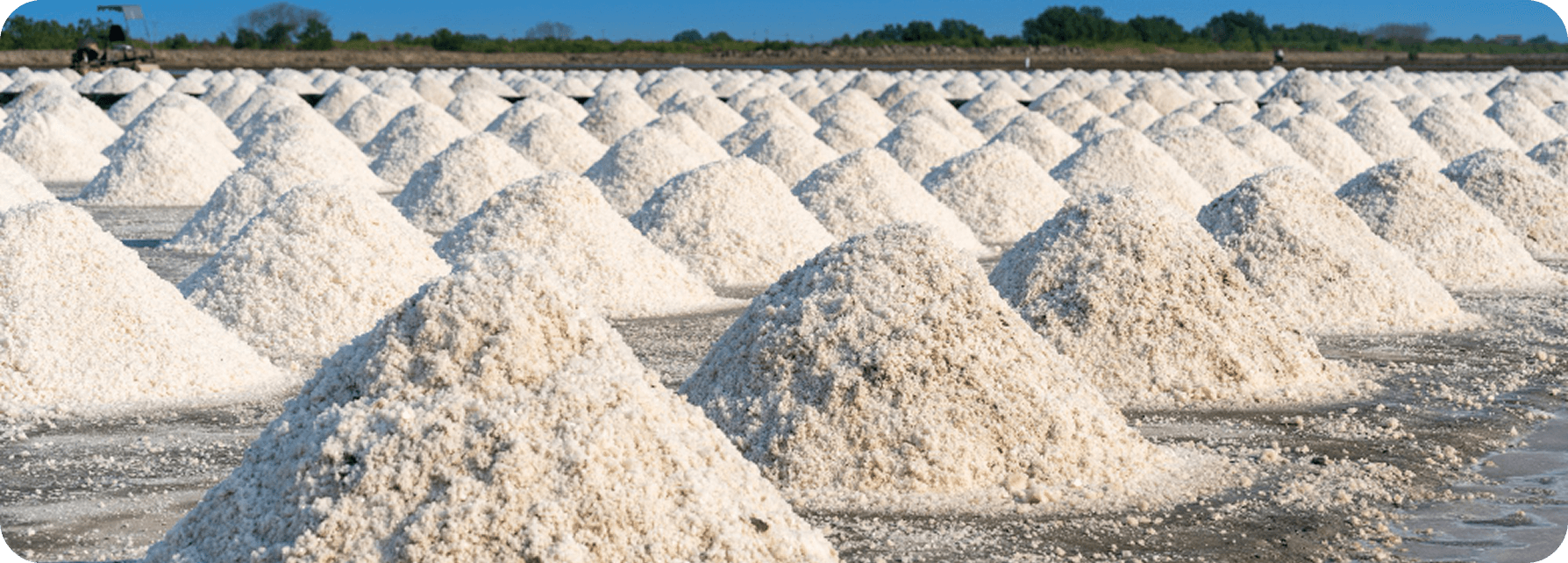 Voice Calling feature